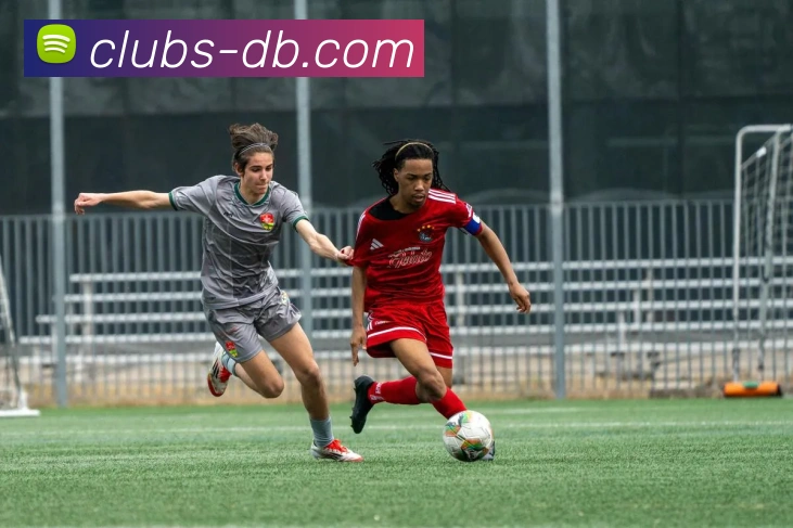 App Interface Preview